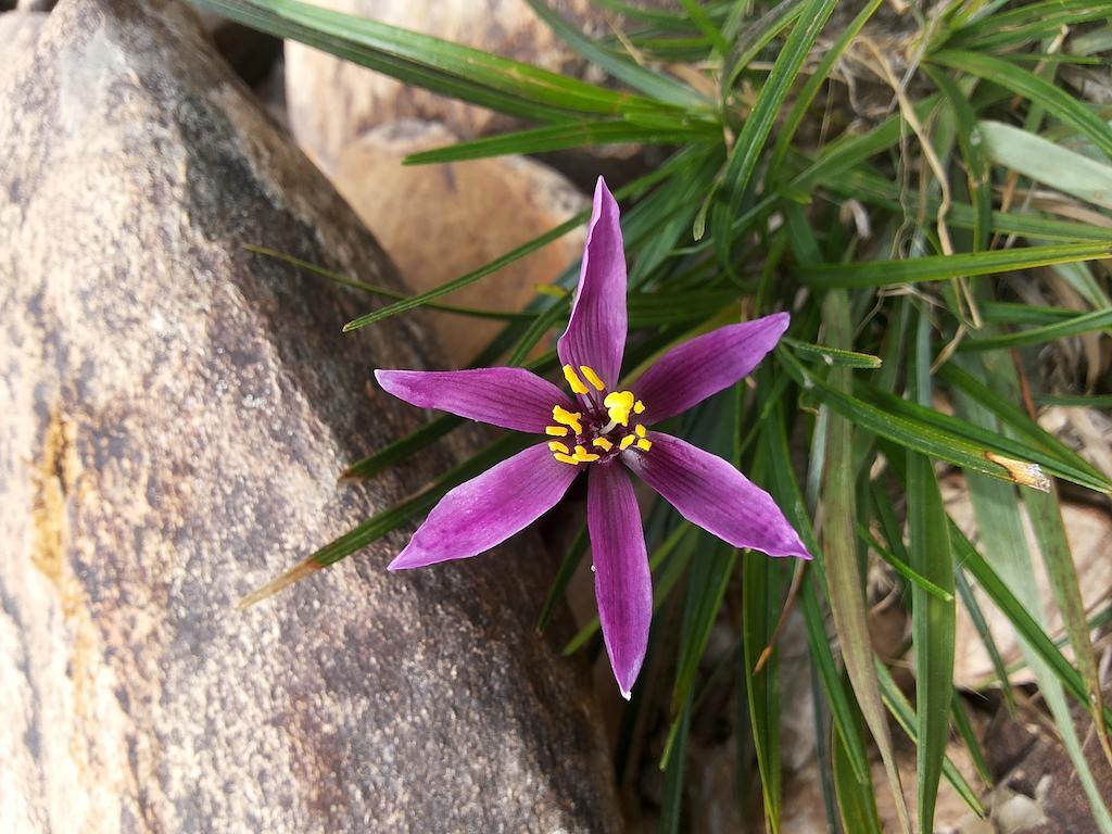Serra do Cipo National Park 阿诺锡波旅馆酒店 外观 照片